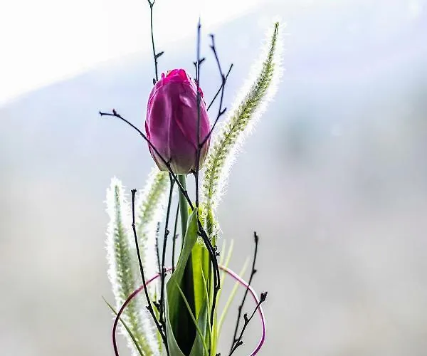 Eifelurlaub Biersdorf