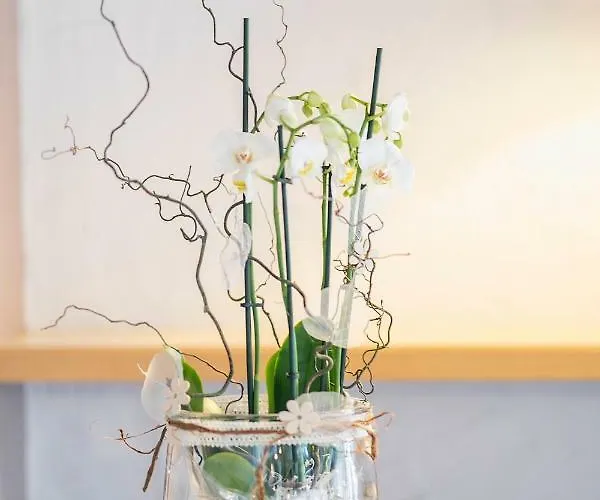 Vakantiehuis Eifelurlaub Biersdorf